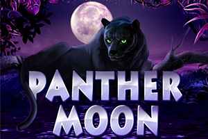 Panther Moon