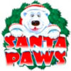 Santa Paws