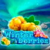 Winterberries